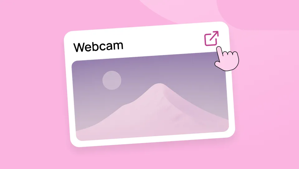 Webcams Open New Tab Entry