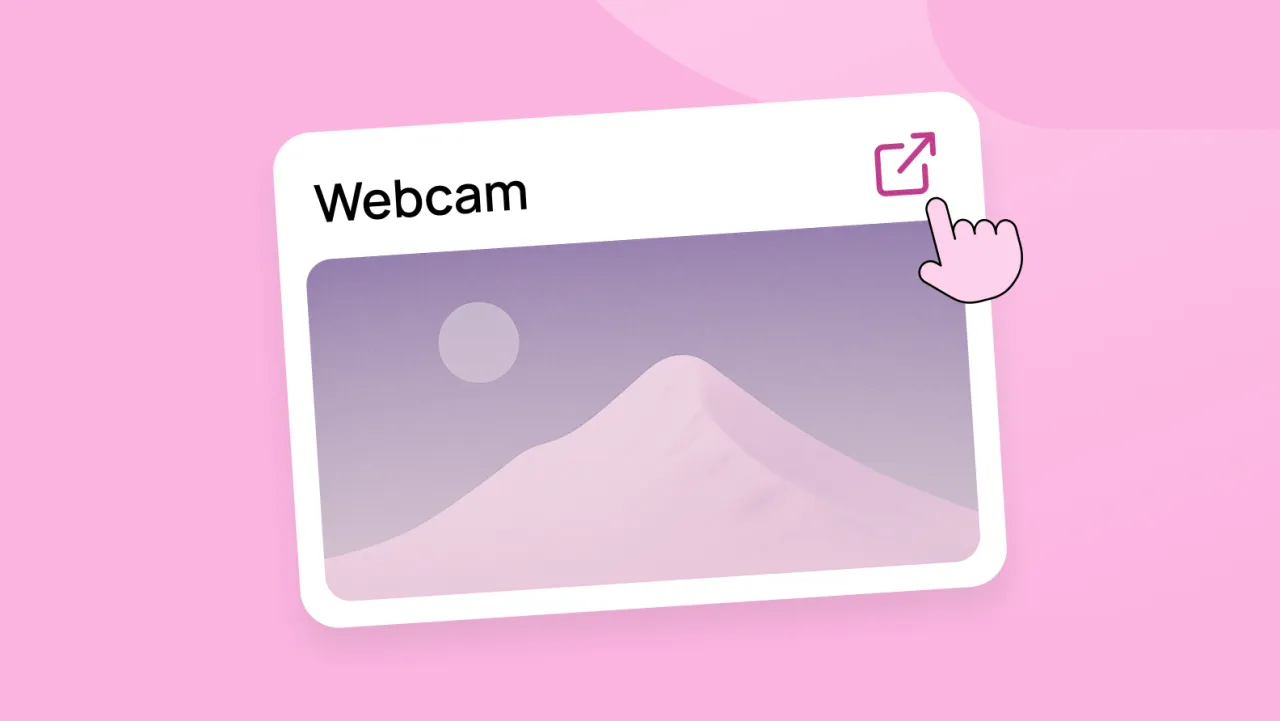 Webcams Open New Tab Entry